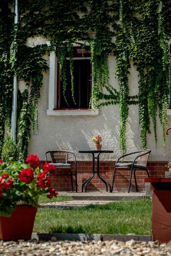 Vadszolo Apartmanhaz Gyomaendrőd Zewnętrze zdjęcie