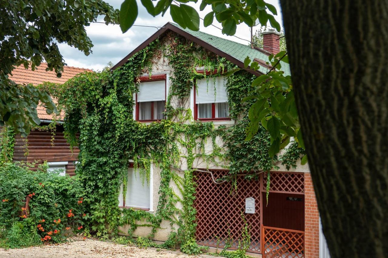 Vadszolo Apartmanhaz Gyomaendrőd Zewnętrze zdjęcie